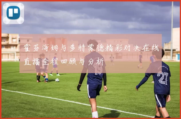 霍芬海姆与多特蒙德精彩对决在线直播全程回顾与分析