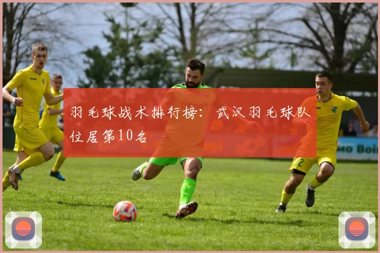 羽毛球战术排行榜：武汉羽毛球队位居第10名