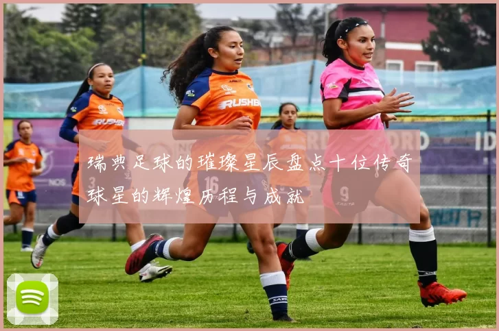 瑞典足球的璀璨星辰盘点十位传奇球星的辉煌历程与成就