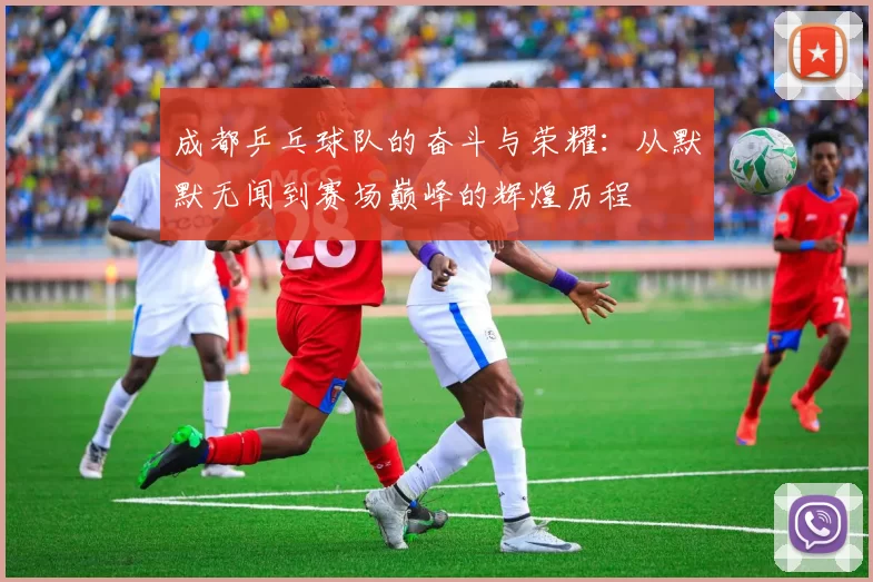 成都乒乓球队的奋斗与荣耀：从默默无闻到赛场巅峰的辉煌历程