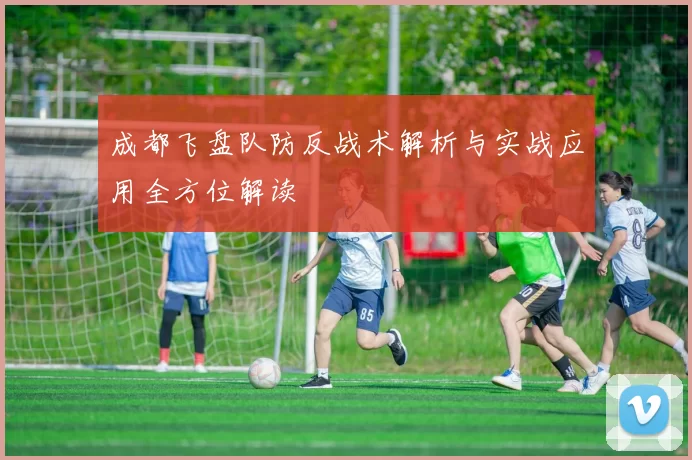 成都飞盘队防反战术解析与实战应用全方位解读