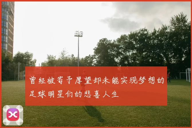 曾经被寄予厚望却未能实现梦想的足球明星们的悲喜人生