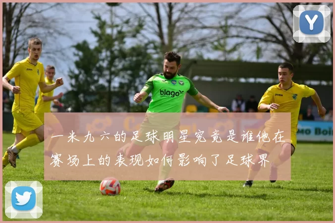 一米九六的足球明星究竟是谁他在赛场上的表现如何影响了足球界