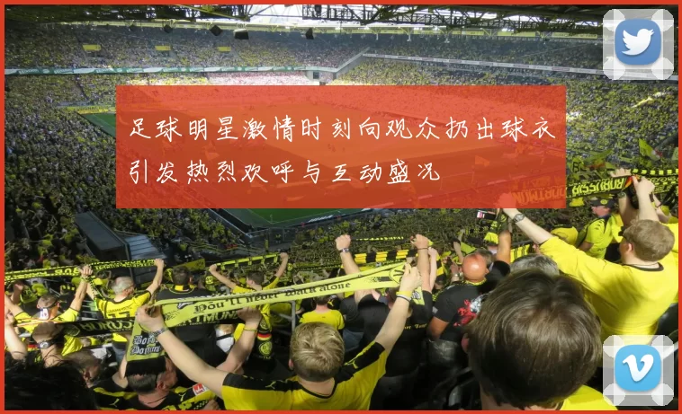 足球明星激情时刻向观众扔出球衣引发热烈欢呼与互动盛况