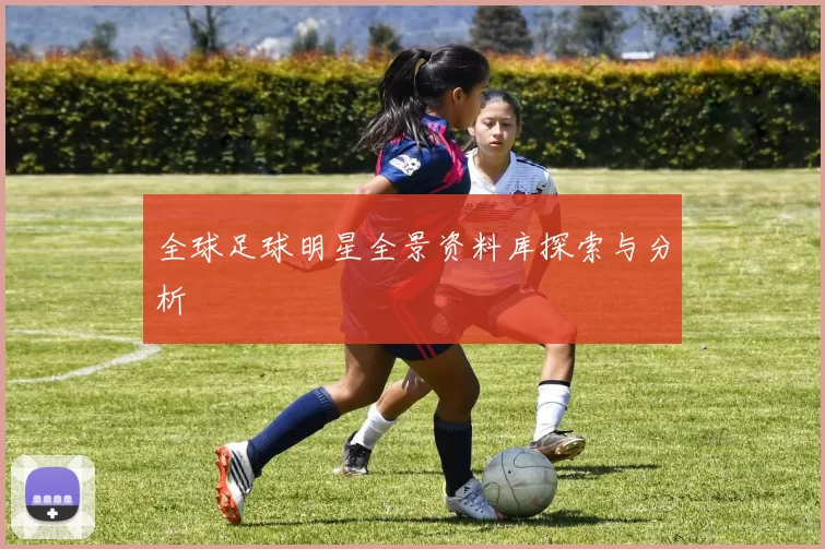 全球足球明星全景资料库探索与分析