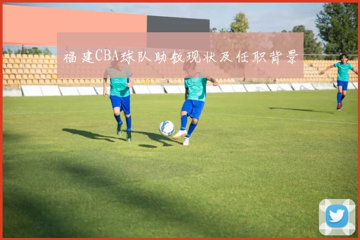福建CBA球队助教现状及任职背景
