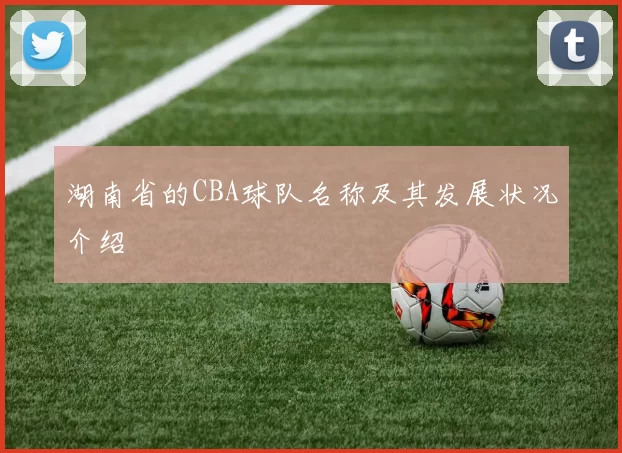 湖南省的CBA球队名称及其发展状况介绍