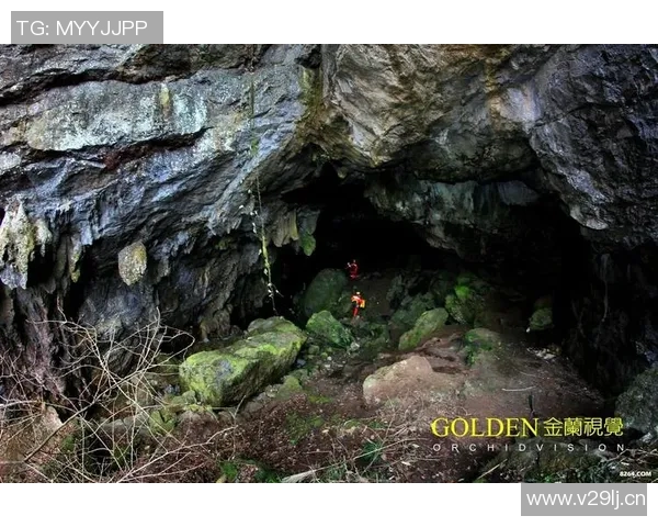 攀岩战术解析上海攀岩队的区域防守与进攻策略研究